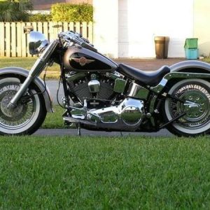 Kit Bajar X Harley Davidson Softail Custom Heritage Springer Grasa Niño ECC